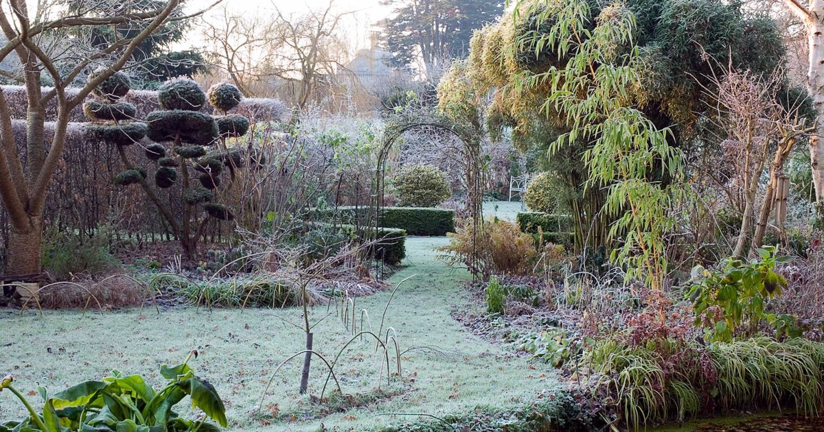 Monty Don warns gardeners to ‘invest’ in two items before frost