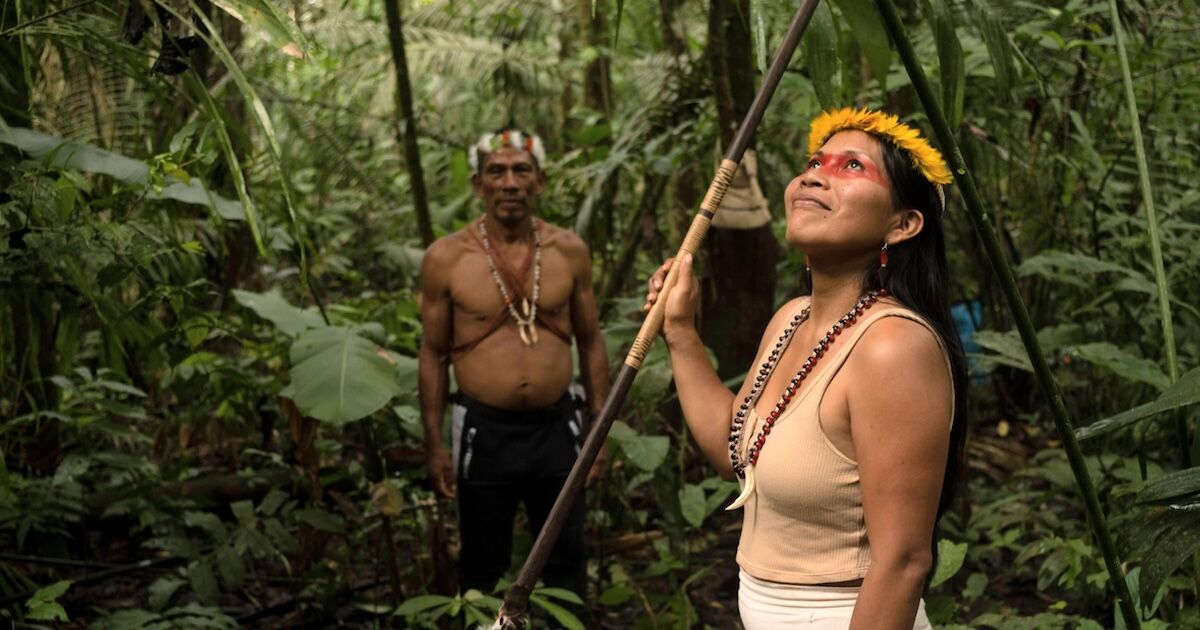 Protecting the Amazon: Activist Nemonte Nenquimo on Her New Book ‘We Will Be Jaguars’